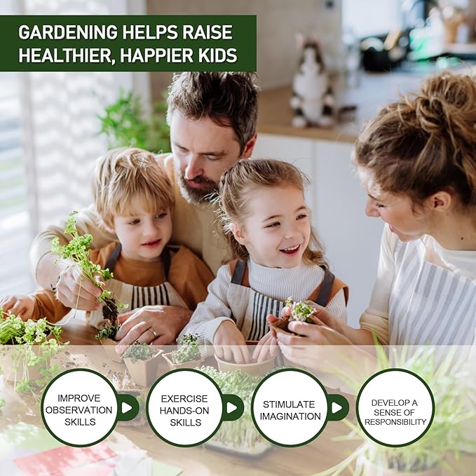 2 LBS Yellow Pea Gravel, Natural Succulent and Cactus Gravel Pebbles, Pebbles for Indoor Plants, Natural Gardens Mulching, for Houseplants, for Aquarium Gravel, to Maintain Soil Aeration(4-6mm)