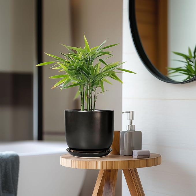 Ceramic Planter 7 Inch - Cylinder Round Modern Indoor Plant Pot for Plants with Drainage Hole and Saucer, Room Home Patio Office Patio Decor, Black