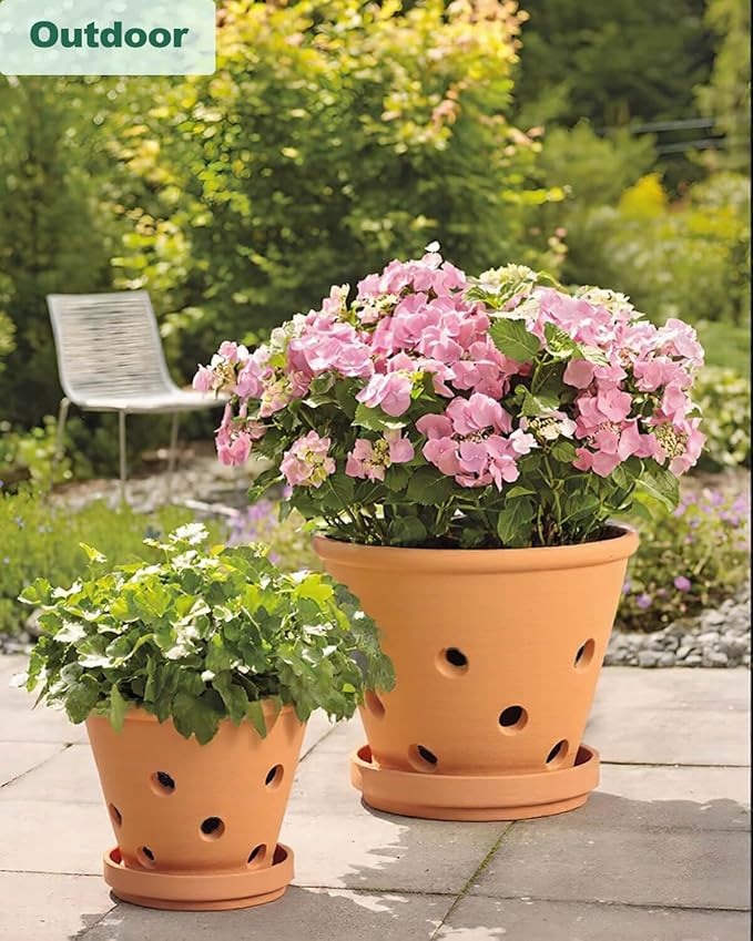 vensovo 4 Inch Terracotta Orchid Pots with Holes and Saucers - 6 Pcs Small Clay Planters for Repotting, Terra Cotta Pot for Plants Indoor and Outdoor Promotes Air Circulation