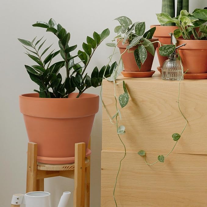 INGOFIN Terracotta Pot with Saucer - 10 Inch Ceramic Clay Pot for Plants with Drainage Hole, Large Terra Cotta Flower Planter with Tray for Indoor Outdoor Plants