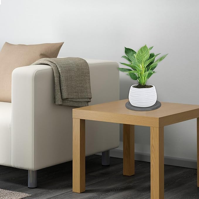 Plant Saucer Flower Pot Saucers Plant Trays for Pots Instant Dry Diatomaceous Earth Round Plant Drip Trays for Indoors Keeping Counter and Floors Dry and Clean (2Pcs Grey Small)