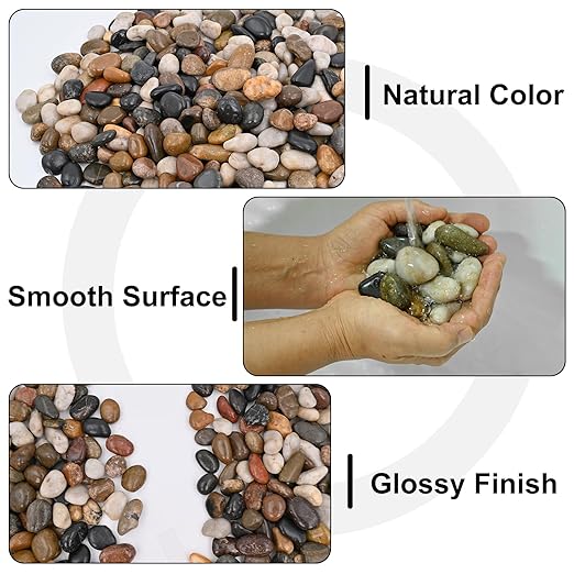 20Ib Rain Forest Rocks- Decorative Pebbles for Plants- River Rocks for Outdoor Landscaping- 0.3"-0.8" inch High Polished Stones for Aquarium, Terrarium,Vases, Home Decor