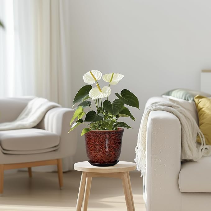 Ceramic Plant Pots - 5.6 Inch Plant Pot Indoor Outdoor, Small Planter with Drainage Hole and Saucer, Round Planter, Orchid Succulent Pots, Garden Room Decor, Gardening Gifts for Women, Red