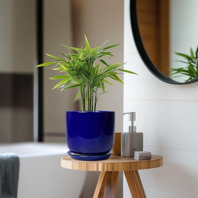 Ceramic Flower Pot 7 Inch - Cylinder 7 Inch Round Planter for Cactus Orchid Plants with Drainage Hole and Saucer, Home Office Room Desk Decor, Blue