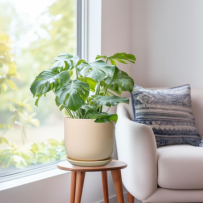 Ceramic Planter - Round Modern 8 Inch Plant Pot with Drainage Hole and Saucer for Flowers Herb, Home House Office Room Apartment Decor, Yellow