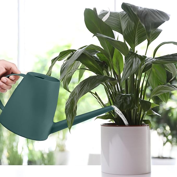 Plastic Watering Can - 1/2 Gallon - Blackish Green
