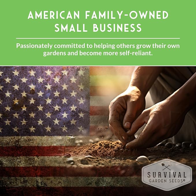 Fall & Winter Vegetable Seed Collection – 8 Packs of Non-GMO Heirloom Seeds for Planting Vegetables | Autumn & Indoor Gardening Seed Pack – Survival Garden Seeds