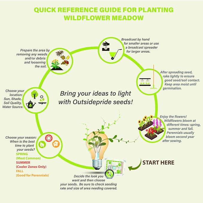 Outsidepride Partial Shade Wild Flower Seed Mix for All States - 1 lb. Premium Blend of Annual & Perennial Wildflowers, Perfect for Partial Shade Areas, & Outdoor Planting for Gardens & Lawns