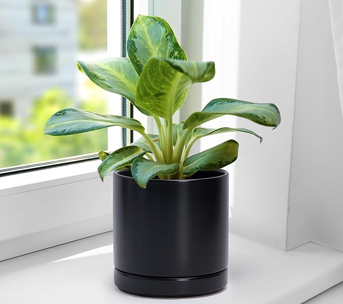 D'vine Dev 3 Inch & 4 Inch & 6 Inch, Set of 3 Round Ceramic Planter Pot with Drainage Hole and Saucer, Black, 94-T-S-2