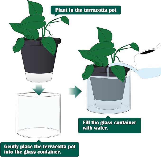 D'vine Dev 8 Inch Design Self Watering Planter for Indoor Plants, Black Terracotta Pot with Cylinder Glass Cup, 37-X-C-3
