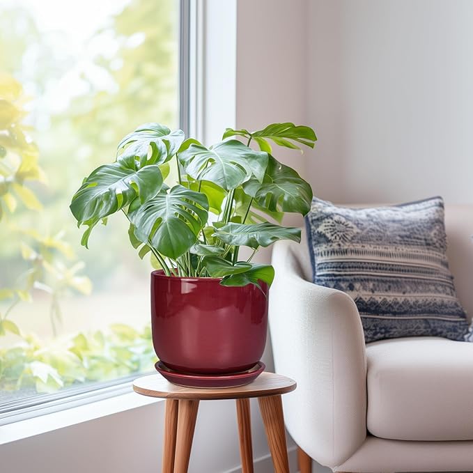 Ceramic Flower Pot for Plants - Cylinder Modern 8 Inch Plant Pot Indoor with Drainage Hole and Saucer, Home Office Room Porch Decor, Red