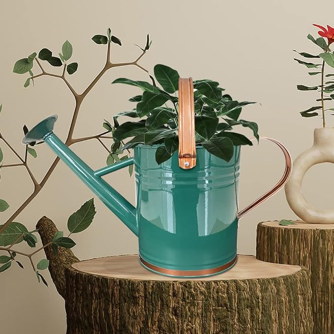 Metal Watering Can for Outdoor and Indoor Plants, Watering Can Decor, 1 Gallon (1 Gallon Green2)