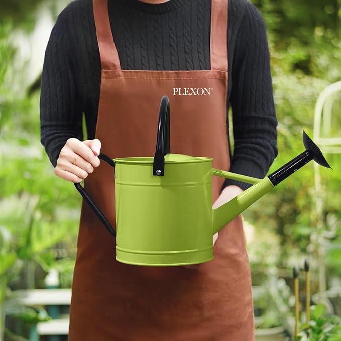 Plexon 1 Gallon Metal Watering Can Outdoor, Flower Plant Gardening Garden Large Watering Can Pot, Black Galvanized Steel Handles and Removable Spray Spout, Green