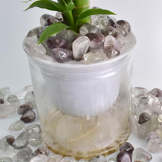 Polished Green Phantom Crystals - 72 Pcs, 0.5" 10 oz Handpicked Natural Tumbled Gemstones Rocks, Pebbles for Reiki, Chakra, Healing Home Decor