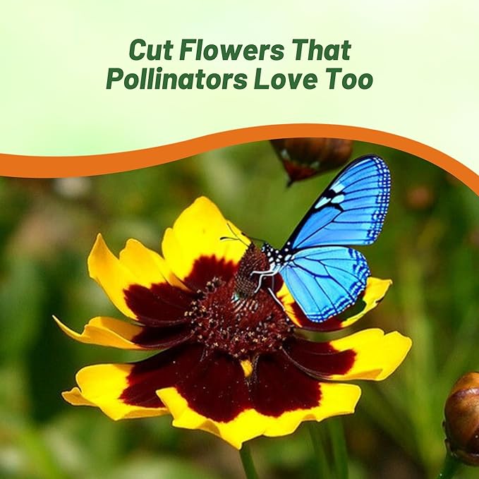 Outsidepride Plains Coreopsis Seeds - 5 lbs. Annual, Drought & Humidity Tolerant, Flower Seeds for Planting Vibrant Bicolored Blooms, Ideal for Xeriscaping and Low Maintenance Gardens