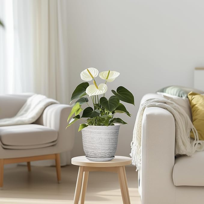 Ceramic Pots for Plants - 5.6 Inch Plant Pot with Drainage Hole and Tray, Round Succulents Pots for Indoor Outdoor, Decorative Planters, Home Room Office Decor, Gifts for Plant Lovers, Grey