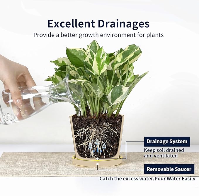 Selamica Ceramic Succulent Pots, 4.3 Inch Small Plant Pots with Drainage Holes and Saucers, Small Flower Pots for Succulent, Cactus, Home Decor, Set of 4, Assorted Colors