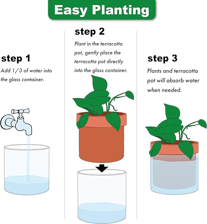 Phoenix Vine 6 Inch Self Watering Planter Pot, Terracotta Clay Pot with Glass Reservoir for Indoor Plants, Herbs, Flowers, Set of 1, 52-A-F-1