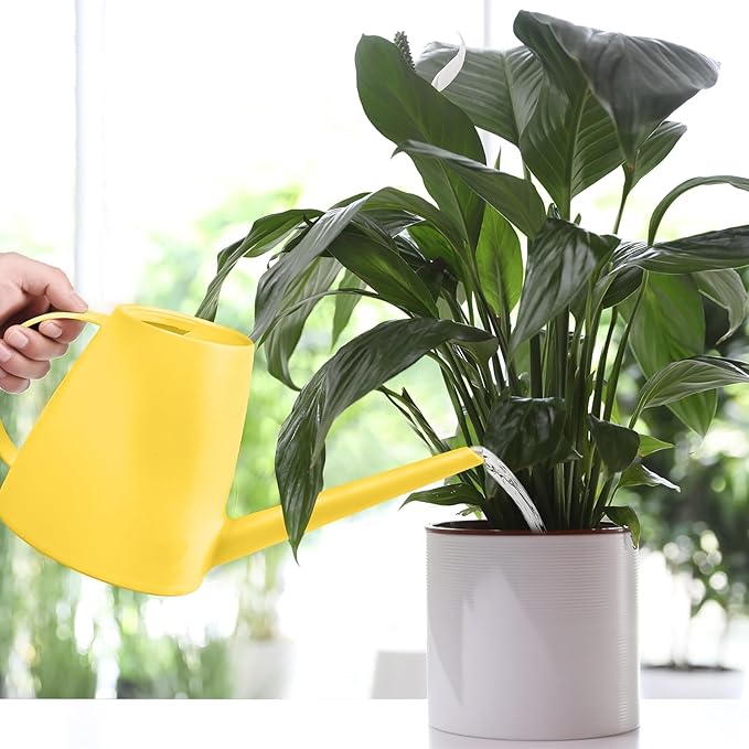 Plastic Watering Can - for Home Plant Garden - 1/2 Gallon - Yellow