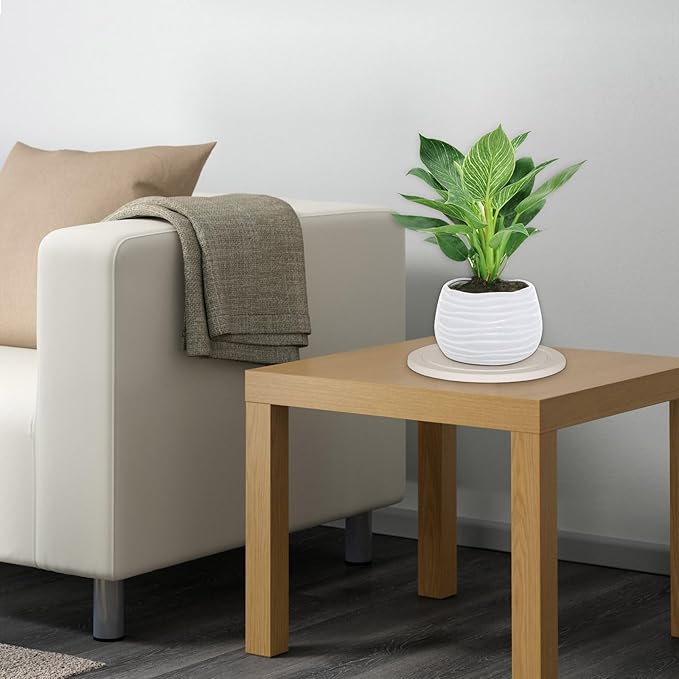 Plant Saucer Flower Pot Saucers Plant Trays for Pots Instant Dry Diatomaceous Earth Round Plant Drip Trays for Indoors Keeping Counter and Floors Dry and Clean (2Pcs White Large)