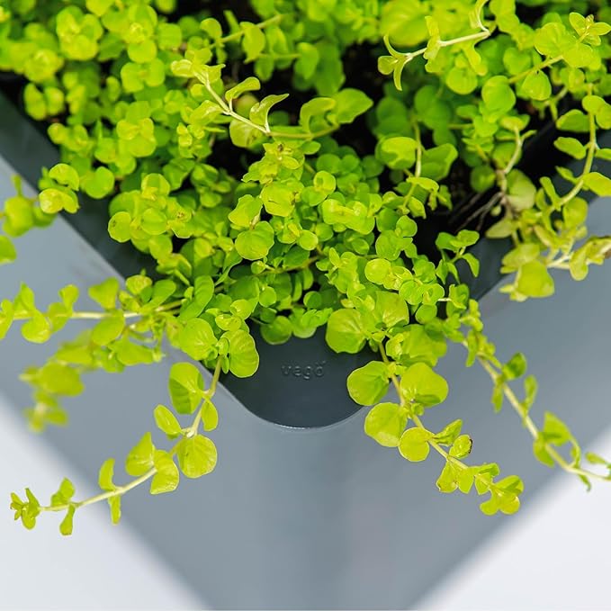 Vego garden Modern Raised Garden Bed 17" Tall 42" x 42" Heavy Cube Planter Box for Trees Plants Flowers Double-Walled Metal Planters for Outdoor Commercial Residential Patio, Midnight Blue