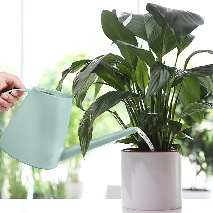 Plastic Watering Can - for Home Plant Garden - 1/2 Gallon - Green