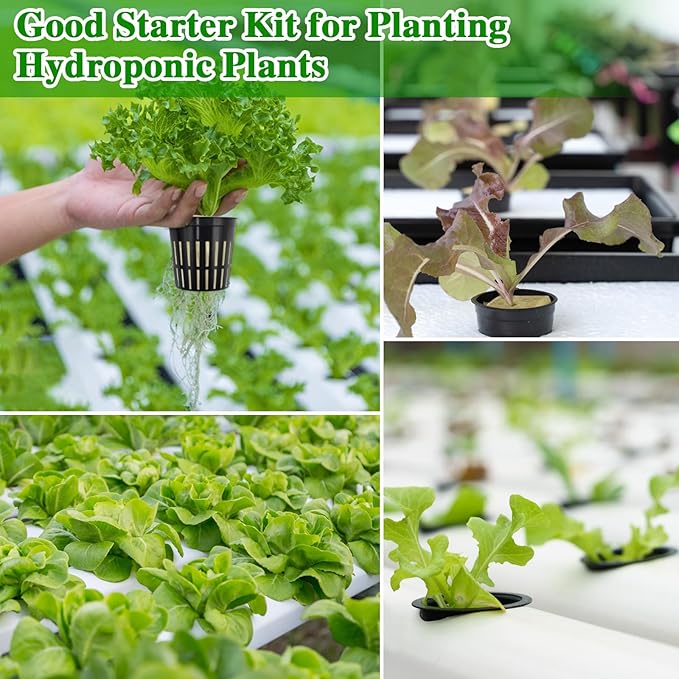 Halatool 72PCS 1.2 Inch Rockwool Cubes with 56PCS 2 Inch Net Cups for Hydroponics Great Kratky Hydroponics Kit for Soilless Cultivation Cloning Plants Growing Seeds