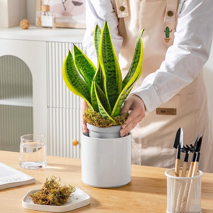 vancasso Ceramic Plant Pots, 6 Inch Planter Pot with Drainage Hole, Flower Pots for Indoor Outdoor Plants, White