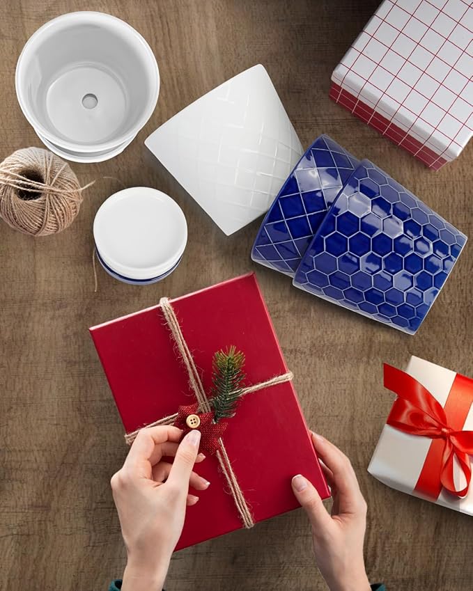 BUYMAX Plant Pots Indoor –6 inch Ceramic Flower Pot with Drainage Hole and Ceramic Tray - Gardening Home Desktop Office Windowsill Decoration Gift, Set of 2(White)