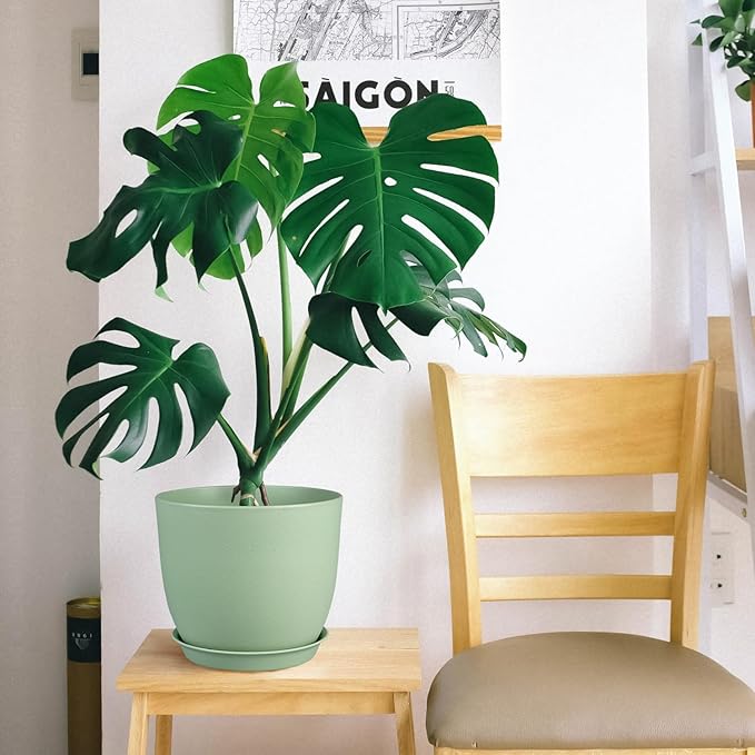 Plant Pots 8 Inch Set of 4, Flower Pots with Multi Mesh Drainage Holes, Planters for Indoor Outdoor Garden Plants and Flowers(Green)