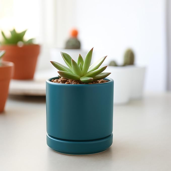 D'vine Dev Set of 3 Plants Pots, 3.5 Inch Ceramic Planter Pot for Plants with Drainage Hole and Saucer, Teal, 94-N-A-9