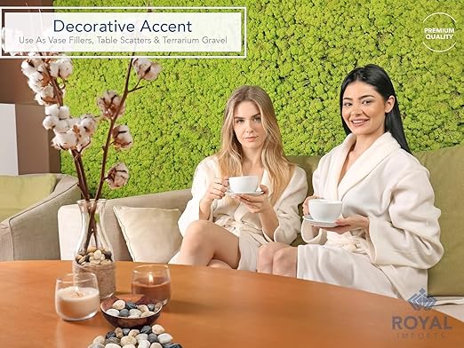 Royal Imports 30LBS River Rocks Decorative Ornamental Pebbles, Garden Landscaping Stones, Gravel Filler for Plants, Vases, Succulents, Home Decor, Aquariums, Crafting, Animal Habitat - Small Natural