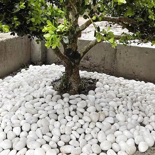 40LB White River Rocks for Landscaping,1-2.2 Inch Polished Pebbles for Plants, Decorative Stones for Landscaping. Succulents, Crafting,Fish Tank,Garden,Vase Filler, Outdoor Decoration