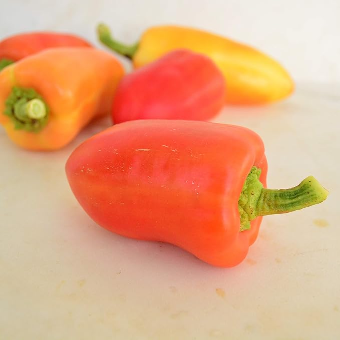 Feher Ozon Paprika Pepper - 25 Seeds - Heirloom Hungarian Pepper, Thick Sweet Peppers USA-Grown, Non-GMO Heirloom Pepper for Planting Outdoors in The Home Garden, Thresh Seed Company