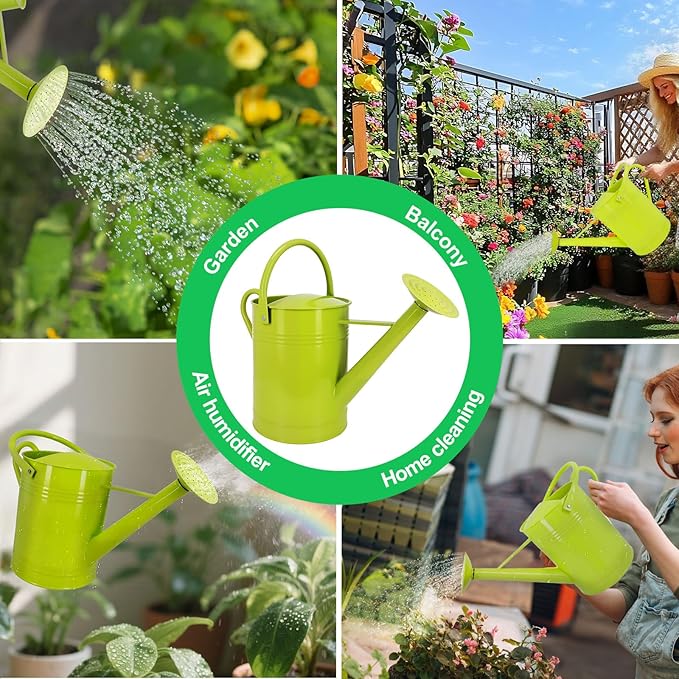 Galvanized Iron Watering Can for Indoor Plants, DIY Watering Cans for House Plant Garden Flower, Long Spout Water Can for Outdoor Watering Plants 7.57L 2 Gallon (Green)