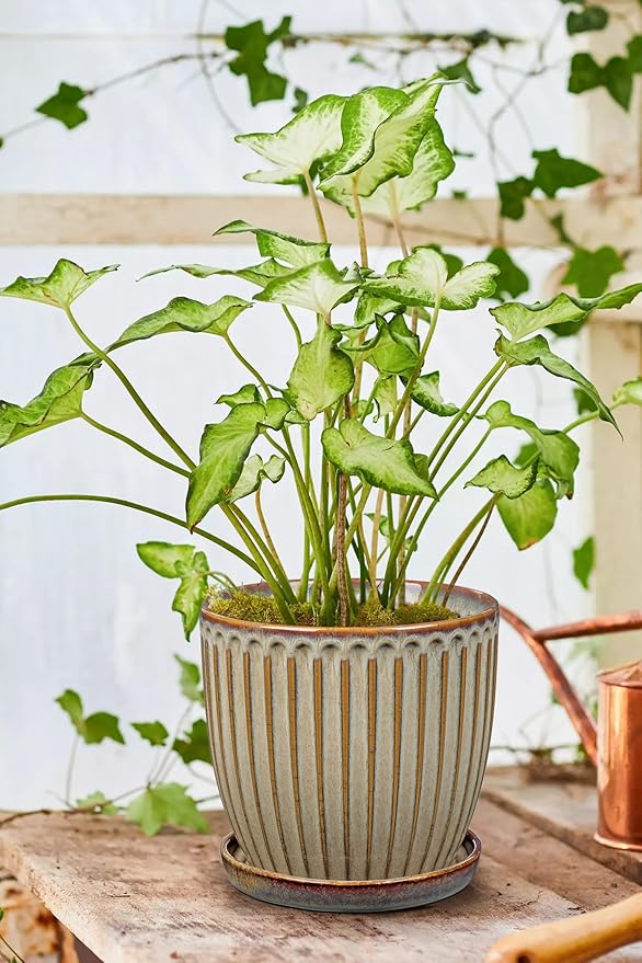 Oairse Ceramic Pots for Indoor Plants, 7.8 inch Pots for Plants Brown Planters with Drainage Holes and Saucers Texture Ceramic Planters Indoor Outdoor for Succulent