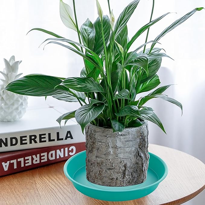 6 Pack of 12 inch Plant Saucer, Heavy Duty Plastic Plant Saucer 12" Round, Durable Plant Tray for Pots, Plant Saucers for Indoors, Plant Trays for Planter (12", Teal)