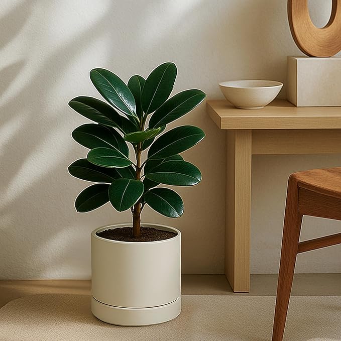 Phoenix Vine 8 Inch Planter Pot with Drainage Hole & Saucer, Deep Water Catch Tray, Straight Cylindrical Round Pot for Plants, Oatmeal, Pack of 2, 23-E-T-2