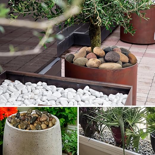 White Pebbles for Indoor Plants 20lbs, 1-2 Inch Natural River Rocks, Hand-Picked Premium Stones for Landscaping and Garden Design, Fish Tank, Flower Pots, Pathways and Backyard