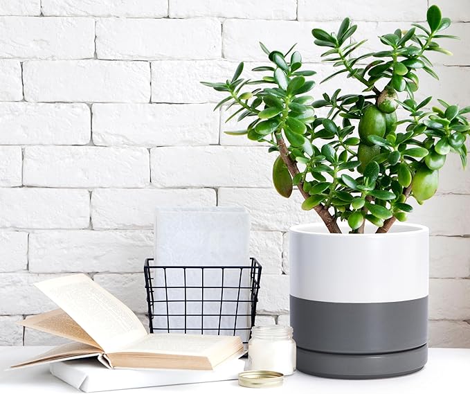 D'vine Dev 6 Inch & 8 Inch & 10 Inch, Set of 3 Round Ceramic Planter Pot with Drainage Hole and Saucer, White/Speckled Grey, 94-T-L-6