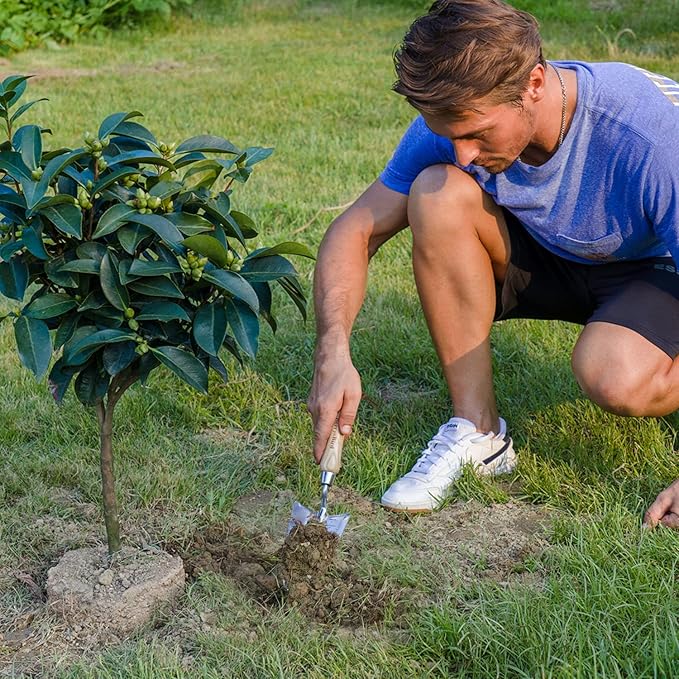 Berry&Bird Stainless Steel Trowel, Garden Small Flower Hand Shovel, Potting Soils Scoop with Wood Handle, Gardening Bonsai Tools for Transplanting Digging Weeding Planting