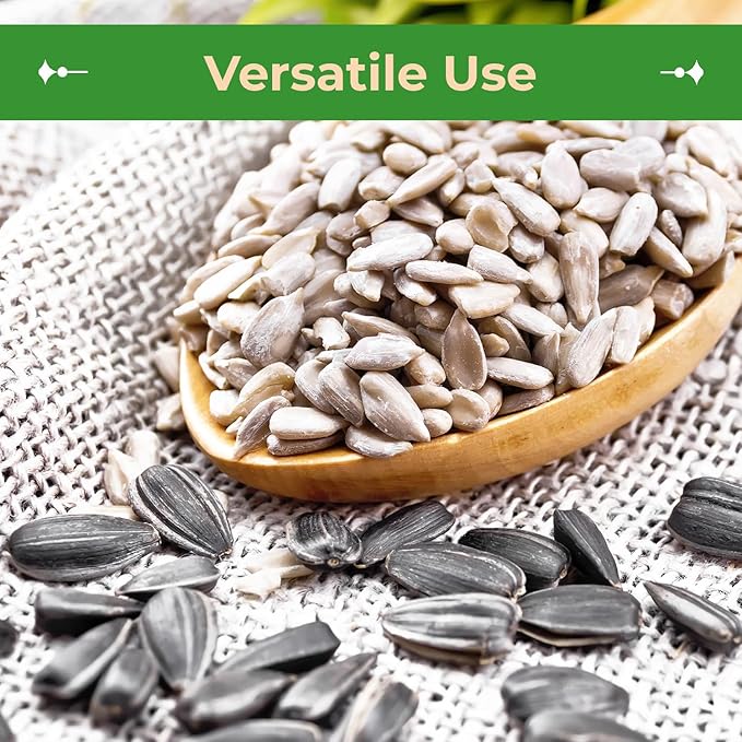 Sincerely Nuts Organic Sunflower Seed Kernels Raw (No Shell) (1lb bag) | Nutritious Antioxidant Rich Superfood Snack | Source of Protein, Fiber, Essential Vitamins & Minerals | Vegan and Gluten Free
