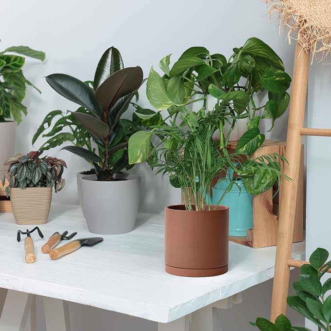 D'vine Dev 5 Inch Rust Terracotta Plant Pot with Drainage Hole and Saucer, Round Cylinder Planter Pot for Indoor Plants, 40-V-B-3