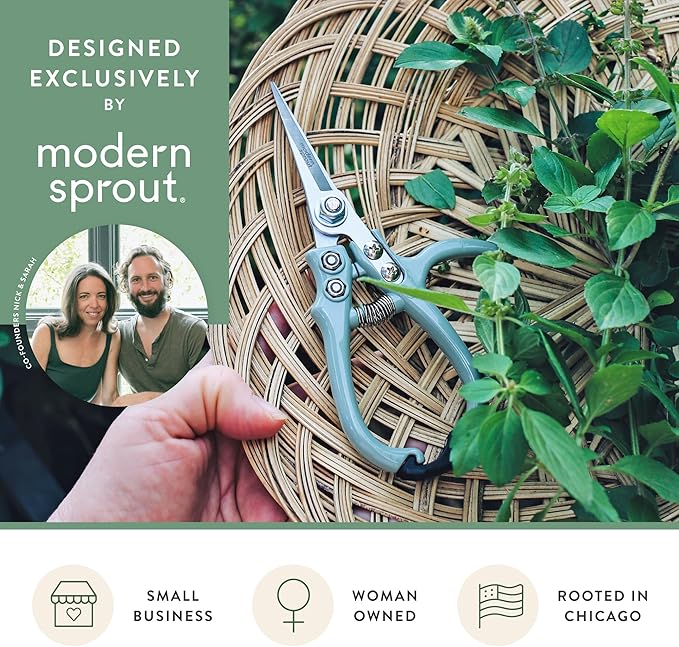 Modern Sprout Pruning Shears - Herb Snipping Scissors- Lightweight Gardening Tools W/Easy Lock - Flower Cutter Garden Shears - Carbon Steel Blade + Reusable Holster (Sage, 1-Pack)