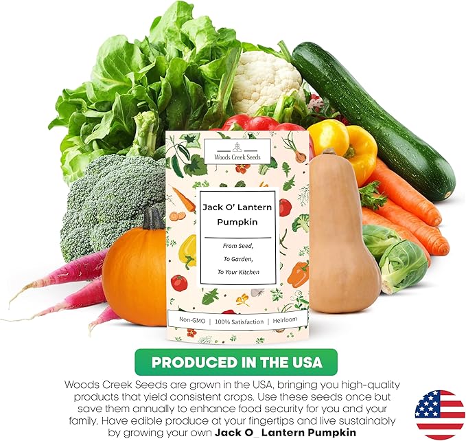 Jack O Lantern Pumpkin Seeds for Planting - Over 40 Heirloom Non-GMO Pumpkin Seeds to Plant - Ideal Heirloom Seeds to Grow for Decor & Fall Harvest - Pumpkins for Outdoor Gardens