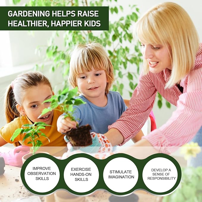 2 LBS White Pea Gravel, Natural Succulent and Cactus Gravel Pebbles, Pebbles for Indoor Plants, Natural Gardens Mulching, for Houseplants, for Aquarium Gravel, to Maintain Soil Aeration(4-6mm)