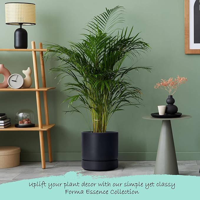 Phoenix Vine 6 Inch and 8 Inch Planter Pot with Drainage Hole & Deep Water Catch Tray Saucer, Straight Cylindrical Round Pot for Plants, Matte Black, 23-A-2-Y