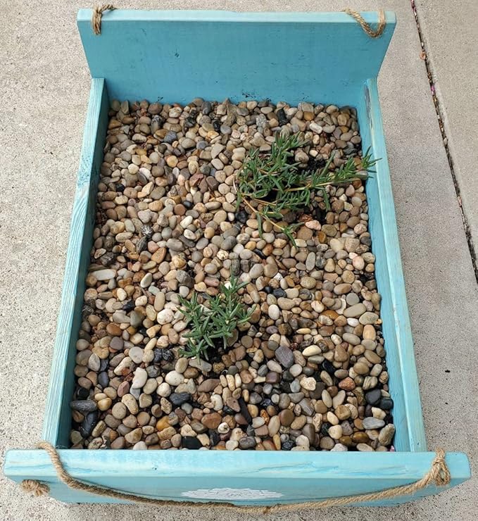 Voulosimi River Rock Stones, Natural Decorative Polished Mixed Pebbles Gravel,Outdoor Decorative Stones for Plant Aquariums, Landscaping, Vase Fillers (10 LB, Mixed Colors)