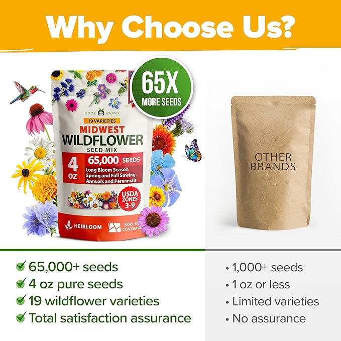 HOME GROWN 65,000+ Wildflower Seeds π‘π’π‘-ππ π’, π¨π¦π-π¦π’π¨π₯πππ Heirloom Perennial Flower Seeds Mix for Attracting Bees Birds & Butterflies, High Germination (Midwest, 4 oz)