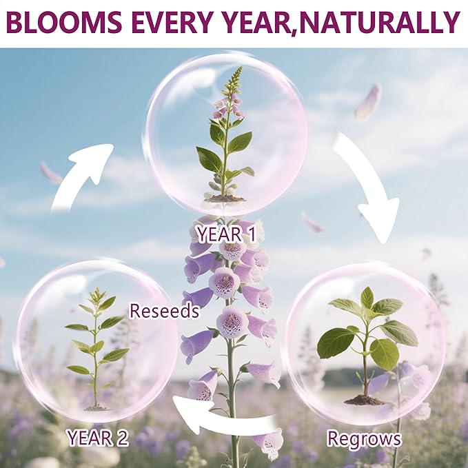 Foxglove Seeds 250,000+ Bulk Pack - Tall Spire Blooms, Mixed Colors for Garden Borders, Easy Planting for Home Gardening - Ideal for Backyard Flower Beds, Landscaping, and Pollinator-Friendly Gardens